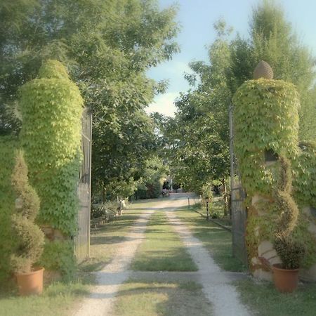 Lago Gabbiano Podere Casanova Pistoia Kültér fotó