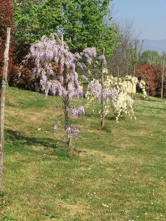 Lago Gabbiano Podere Casanova Pistoia Kültér fotó