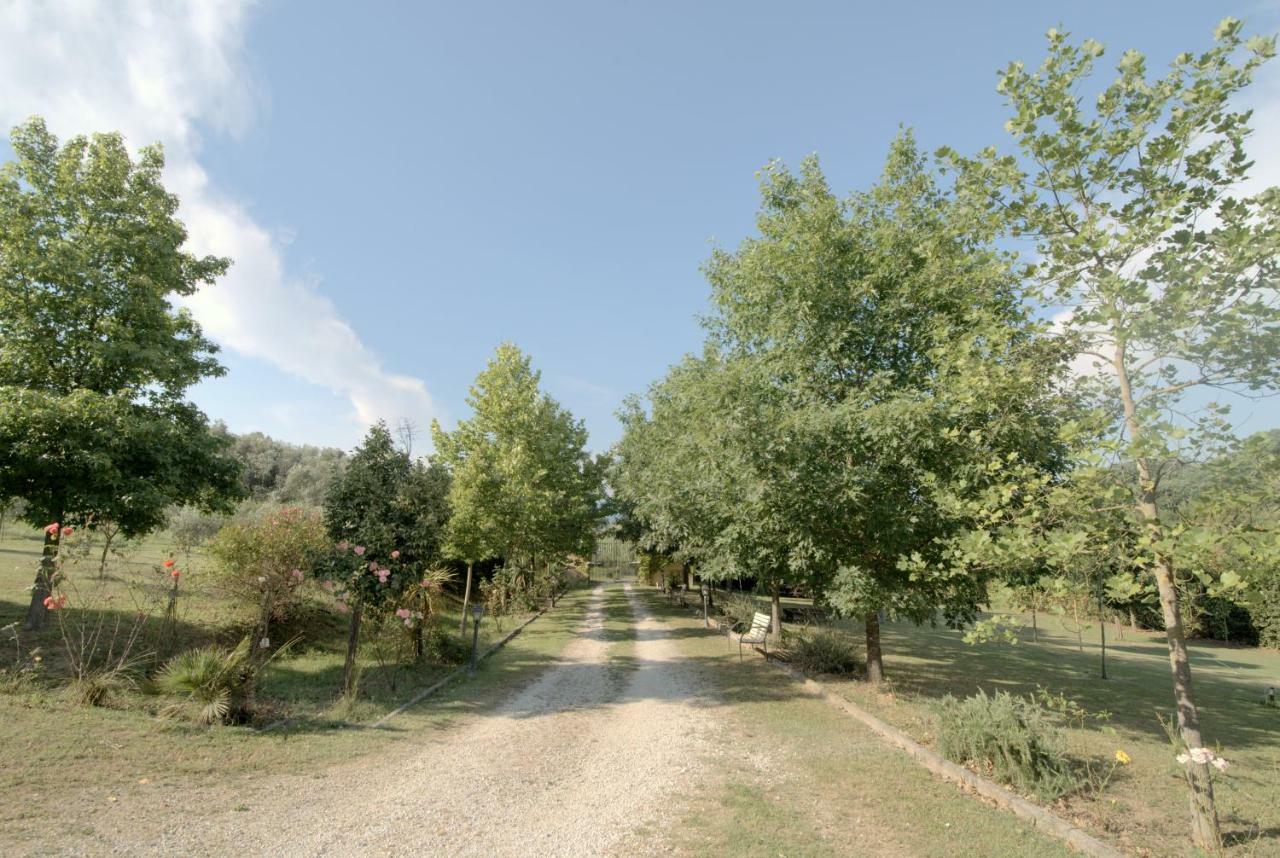 Lago Gabbiano Podere Casanova Pistoia Kültér fotó